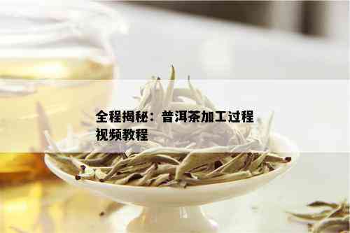 全程揭秘：普洱茶加工过程视频教程