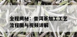 全程揭秘：普洱茶加工工艺流程图与视频详解