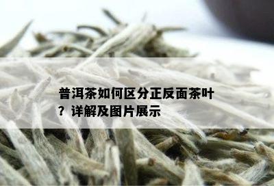 普洱茶如何区分正反面茶叶？详解及图片展示