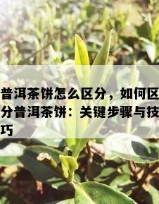 普洱茶饼怎么区分，如何区分普洱茶饼：关键步骤与技巧