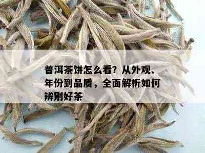 普洱茶饼怎么看？从外观、年份到品质，全面解析如何辨别好茶