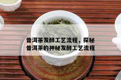 普洱茶发酵工艺流程，探秘普洱茶的神秘发酵工艺流程