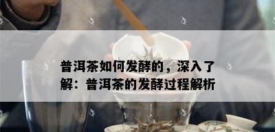 普洱茶如何发酵的，深入了解：普洱茶的发酵过程解析