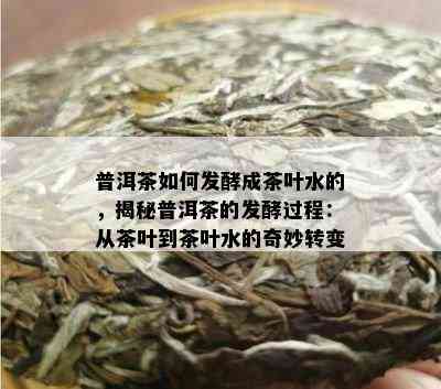 普洱茶如何发酵成茶叶水的，揭秘普洱茶的发酵过程：从茶叶到茶叶水的奇妙转变