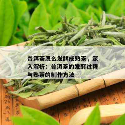 普洱茶怎么发酵成熟茶，深入解析：普洱茶的发酵过程与熟茶的制作方法