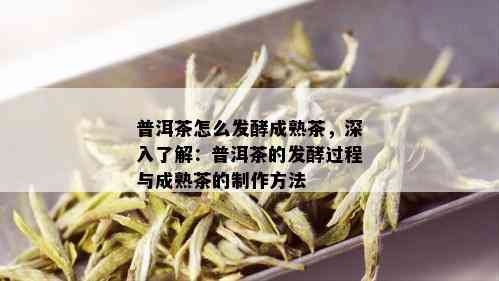 普洱茶怎么发酵成熟茶，深入了解：普洱茶的发酵过程与成熟茶的制作方法