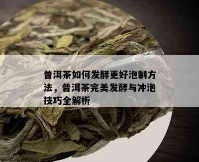 普洱茶如何发酵更好泡制方法，普洱茶完美发酵与冲泡技巧全解析