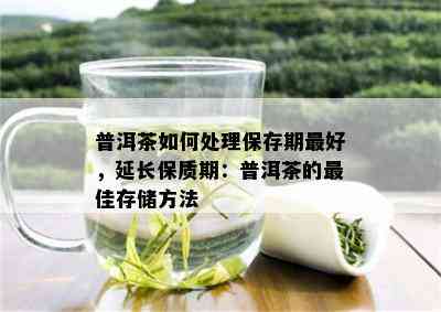 普洱茶如何处理保存期更好，延长保质期：普洱茶的更佳存储方法