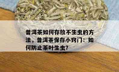 普洱茶如何存放不生虫的方法，普洱茶保存小窍门：如何防止茶叶生虫？