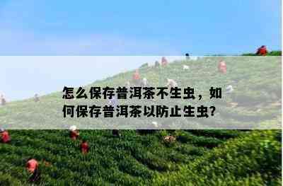 怎么保存普洱茶不生虫，如何保存普洱茶以防止生虫？