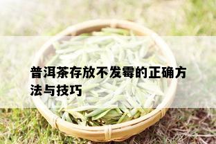 普洱茶存放不发霉的正确方法与技巧