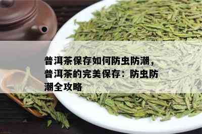 普洱茶保存如何防虫防潮，普洱茶的完美保存：防虫防潮全攻略