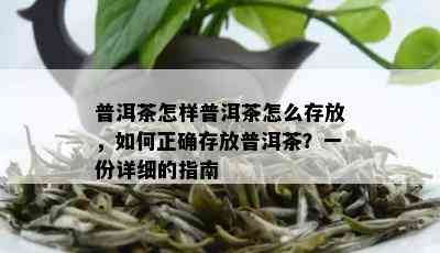 普洱茶怎样普洱茶怎么存放，如何正确存放普洱茶？一份详细的指南