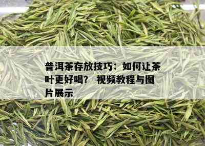 普洱茶存放技巧：如何让茶叶更好喝？ 视频教程与图片展示