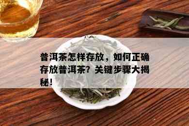 普洱茶怎样存放，如何正确存放普洱茶？关键步骤大揭秘！