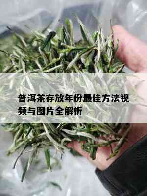 普洱茶存放年份更佳方法视频与图片全解析