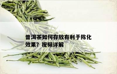 普洱茶如何存放有利于陈化效果？视频详解