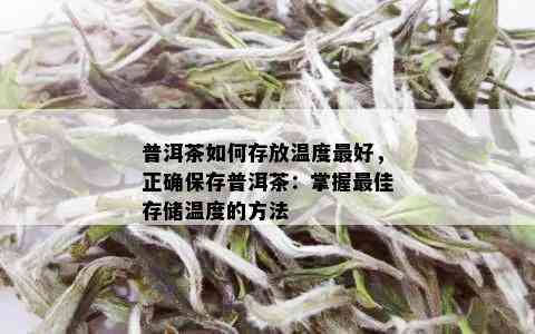 普洱茶如何存放温度更好，正确保存普洱茶：掌握更佳存储温度的方法