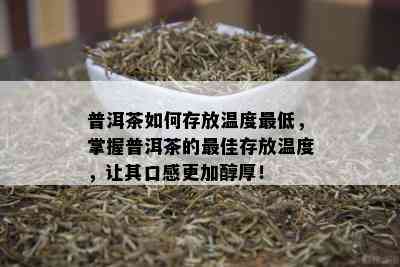 普洱茶如何存放温度更低，掌握普洱茶的更佳存放温度，让其口感更加醇厚！