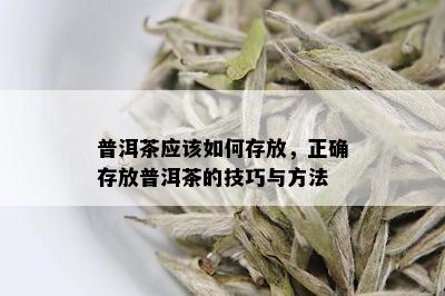 普洱茶应该如何存放，正确存放普洱茶的技巧与方法