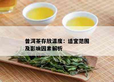 普洱茶存放温度：适宜范围及影响因素解析