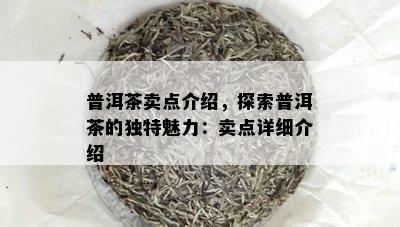 普洱茶卖点介绍，探索普洱茶的独特魅力：卖点详细介绍