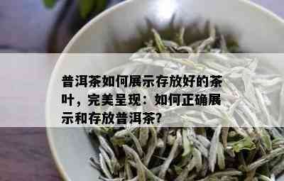 普洱茶如何展示存放好的茶叶，完美呈现：如何正确展示和存放普洱茶？