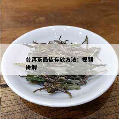 普洱茶更佳存放方法：视频讲解