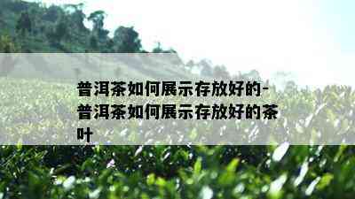 普洱茶如何展示存放好的-普洱茶如何展示存放好的茶叶