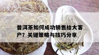 普洱茶如何成功销售给大客户？关键策略与技巧分享