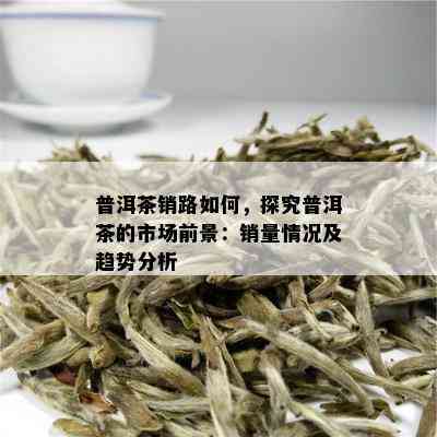 普洱茶销路如何，探究普洱茶的市场前景：销量情况及趋势分析