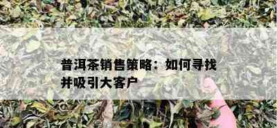 普洱茶销售策略：如何寻找并吸引大客户