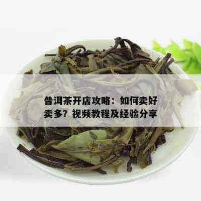 普洱茶开店攻略：如何卖好卖多？视频教程及经验分享