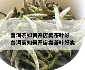 普洱茶如何开店卖茶叶好-普洱茶如何开店卖茶叶好卖