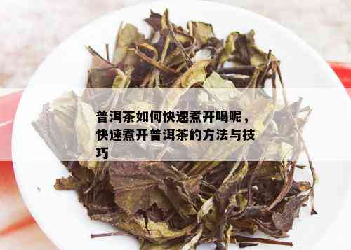 普洱茶如何快速煮开喝呢，快速煮开普洱茶的方法与技巧