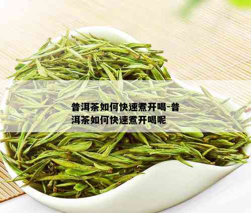 普洱茶如何快速煮开喝-普洱茶如何快速煮开喝呢