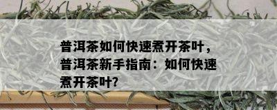 普洱茶如何快速煮开茶叶，普洱茶新手指南：如何快速煮开茶叶？