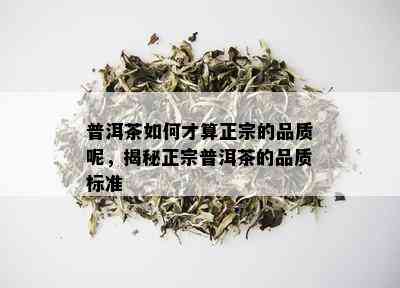 普洱茶如何才算正宗的品质呢，揭秘正宗普洱茶的品质标准