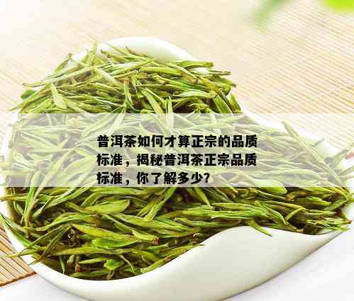 普洱茶如何才算正宗的品质标准，揭秘普洱茶正宗品质标准，你了解多少？