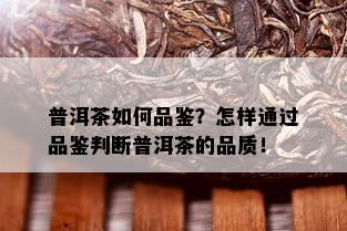 普洱茶如何品鉴？怎样通过品鉴判断普洱茶的品质！