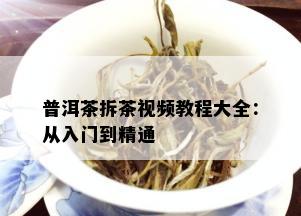 普洱茶拆茶视频教程大全：从入门到精通