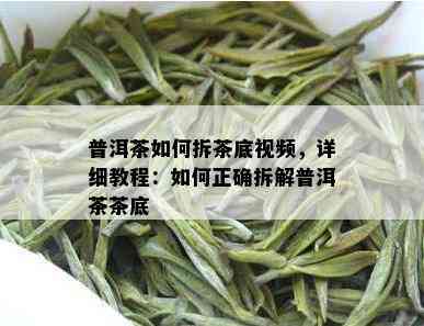 普洱茶如何拆茶底视频，详细教程：如何正确拆解普洱茶茶底