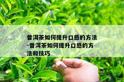 普洱茶如何提升口感的方法-普洱茶如何提升口感的方法和技巧