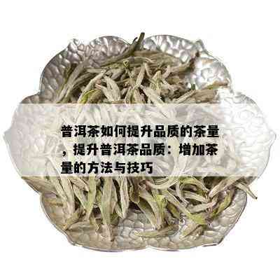 普洱茶如何提升品质的茶量，提升普洱茶品质：增加茶量的方法与技巧