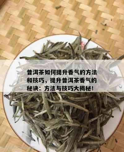 普洱茶如何提升香气的方法和技巧，提升普洱茶香气的秘诀：方法与技巧大揭秘！