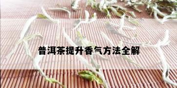 普洱茶提升香气方法全解