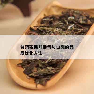 普洱茶提升香气与口感的品质优化方法