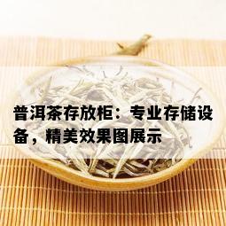 普洱茶存放柜：专业存储设备，精美效果图展示