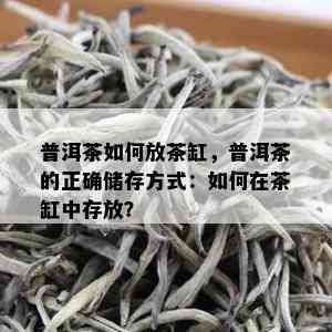 普洱茶如何放茶缸，普洱茶的正确储存方式：如何在茶缸中存放？