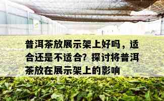 普洱茶放展示架上好吗，适合还是不适合？探讨将普洱茶放在展示架上的影响